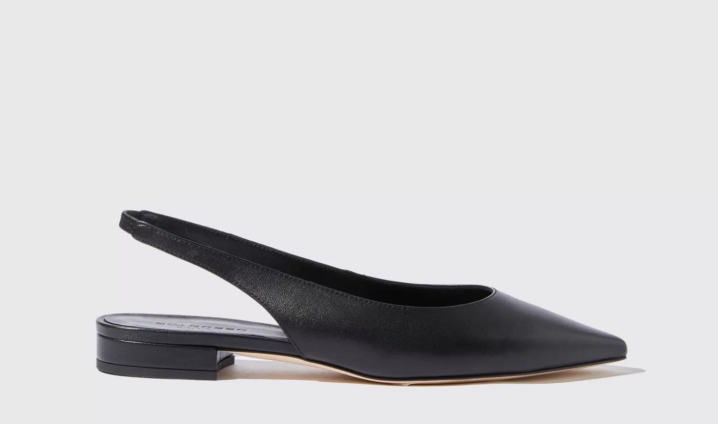 Scarosso Ballerinas-Viviana Nera Black - Calf